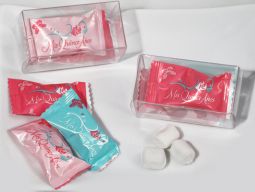 Mint Candy Favors with  Pvc Gift Box Quince Anos Design
