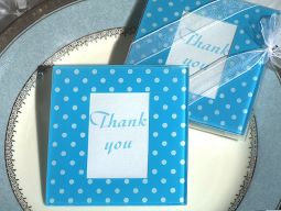 Blue and White dot pattern photo coaster