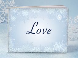 Winter love guest book