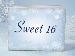 Winter Sweet 16 guest book